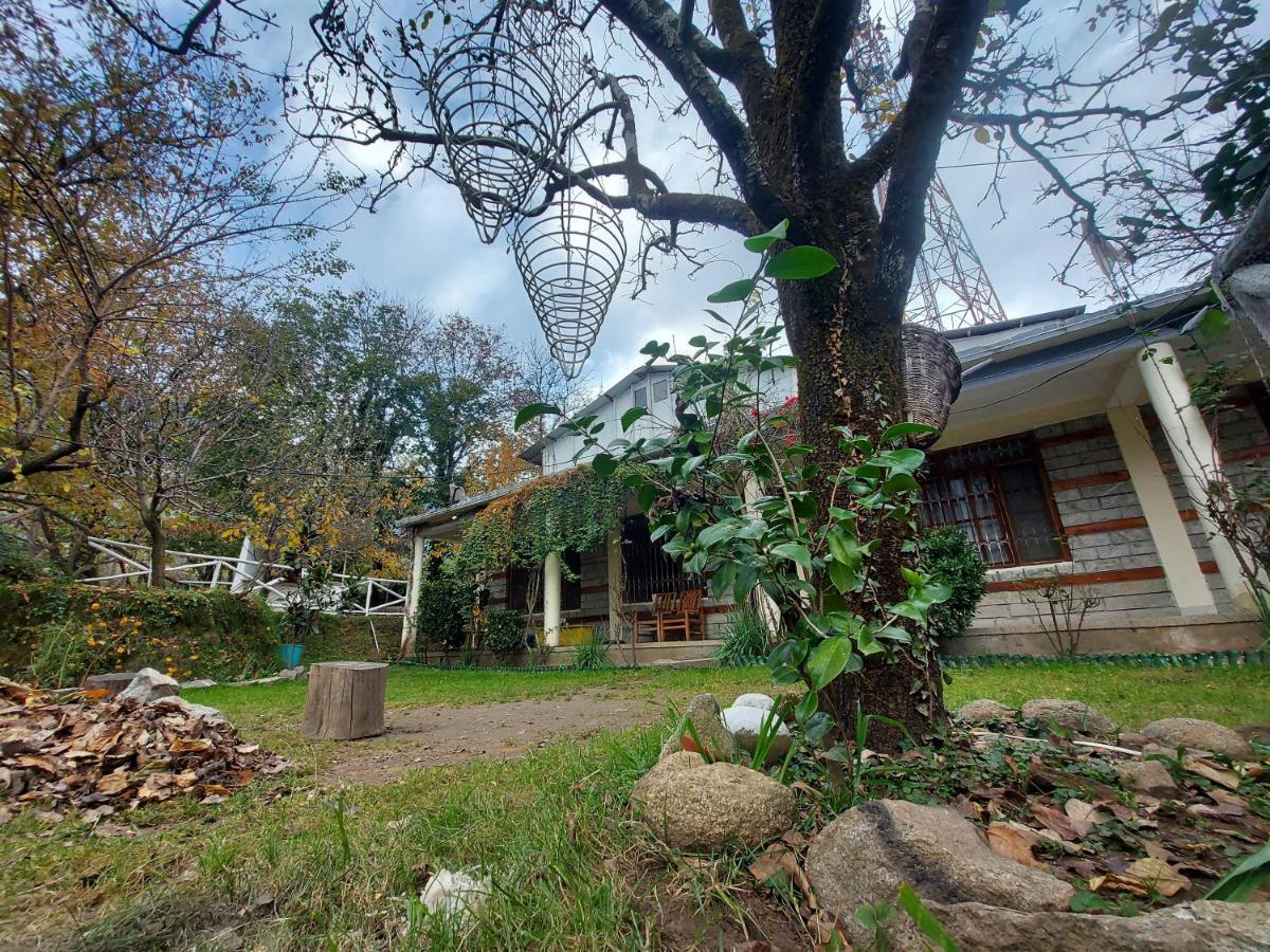 Mars Monkey Hostel & Cafe Manali  Luaran gambar