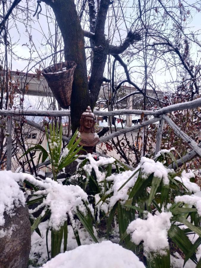 Mars Monkey Hostel & Cafe Manali  Luaran gambar