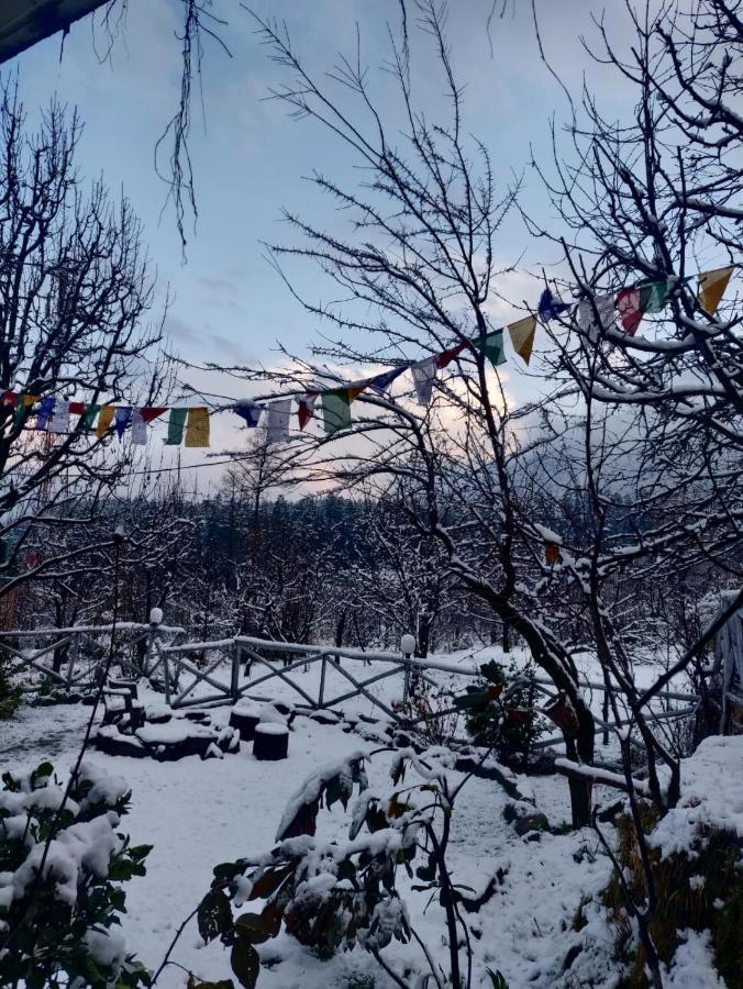 Mars Monkey Hostel & Cafe Manali  Luaran gambar