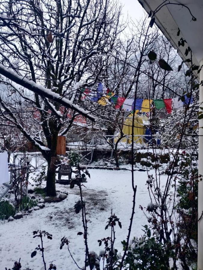 Mars Monkey Hostel & Cafe Manali  Luaran gambar